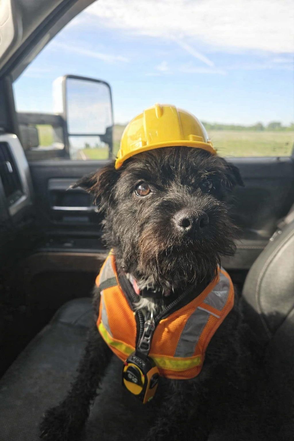 Willie Gary ready for work